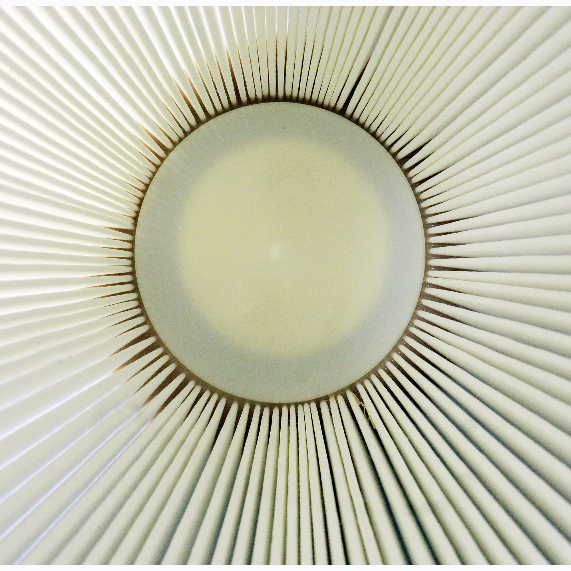 ZD-1800-Vorfilter-3Fv5eeIQdCWyYD