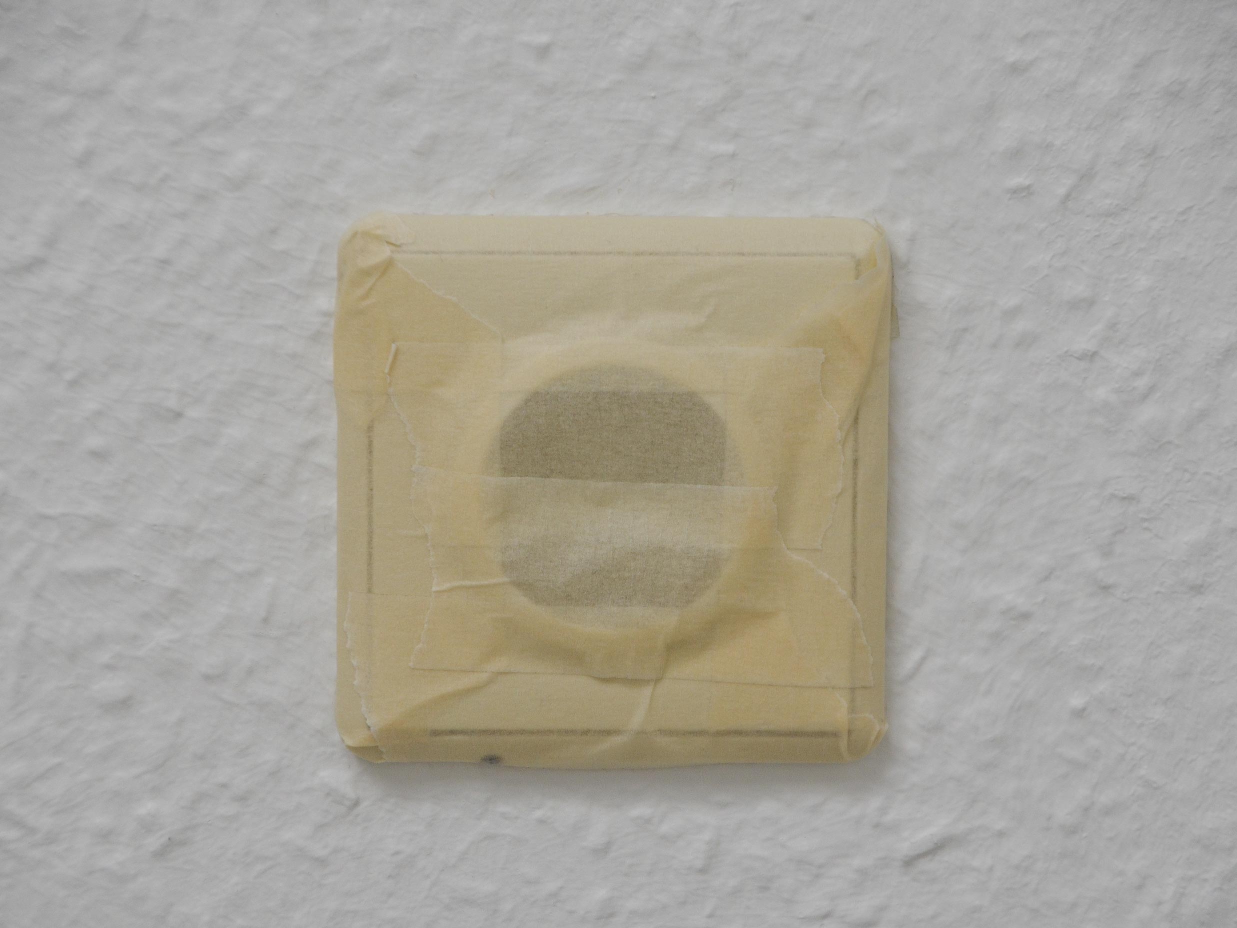 DSC_0351_web